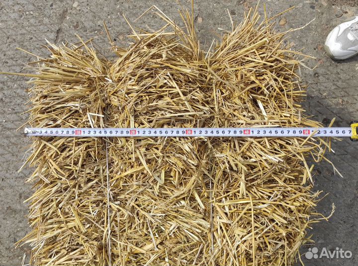 Солома в тюках с доставкой