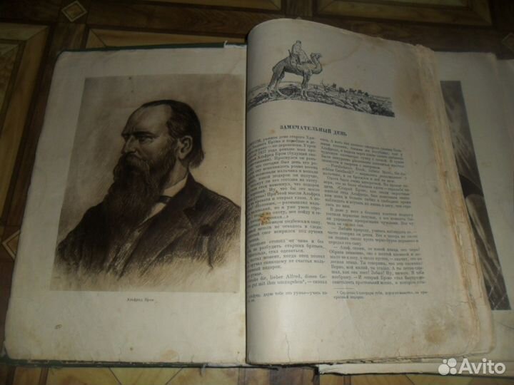 Жизнь животных 1937 год