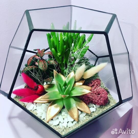 Флорариум с живыми цветами