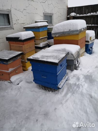 Продам улии,суш,вощину,медогонку,тележку