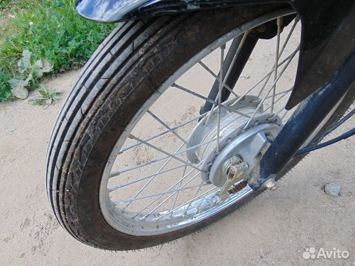 Дельта Рива