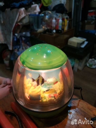 Ночник аквариум