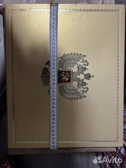 Правительственный чемоданчик