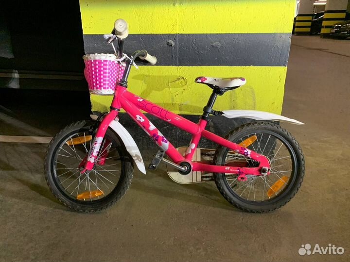 Scott Contessa JR 16