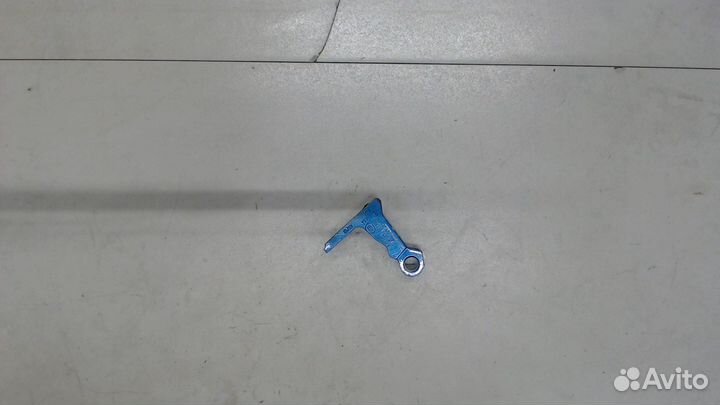 Петля двери Skoda Fabia, 2019