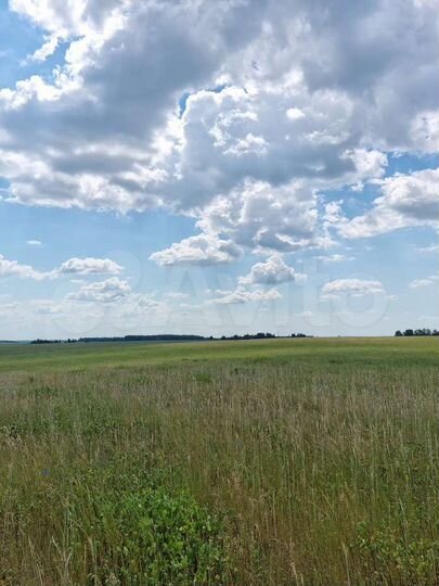 Участок 1,7 га (ИЖС)