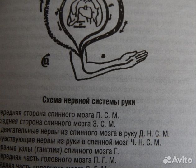 Папюс Практическая магия. Книга Учебник. Новый