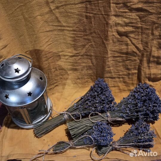 Букет из лаванды/сухоцвет