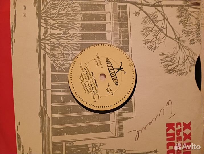 Виниловые и гибкие пластинки