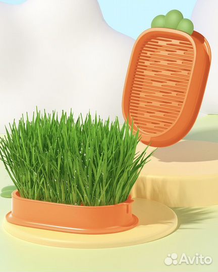 Лоток для выращивания кошачьей травы