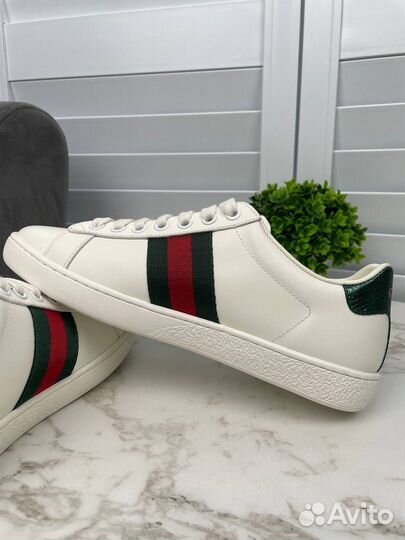 Кеды Gucci Ace