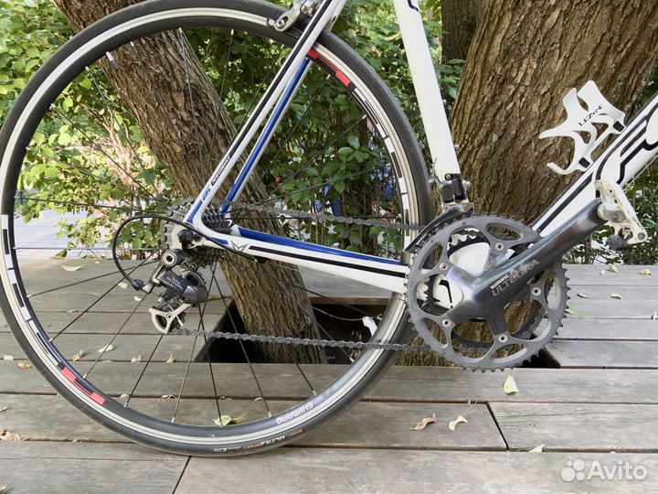 Шоссейный Felt F6 (Ultegra/105; L, ett58, карбон)