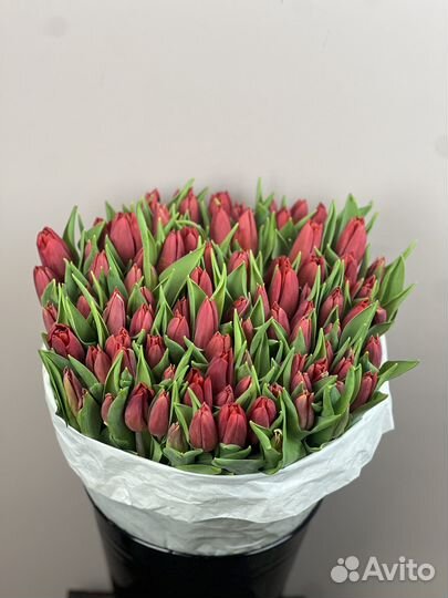 Тюльпаны в Москве и Московской области