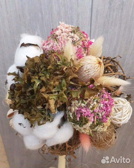 Топиарий цетрария