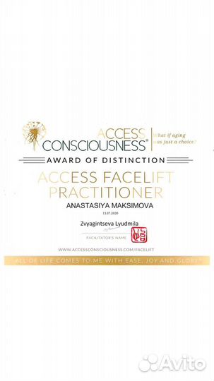 Аксесс Барс, Аксесс Фейслифт, телесные процессы