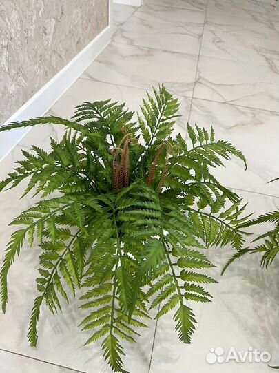Папоротник искусственный