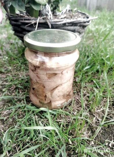 Печень трески свежая