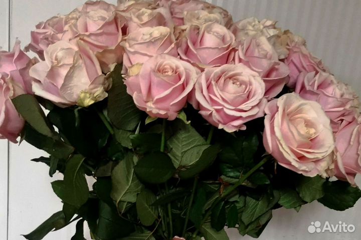 Розы с доставкой, букет роз 101