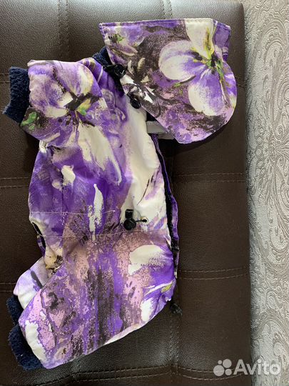 Одежда для собак