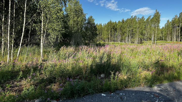 Участок 6,5 сот. (ИЖС)