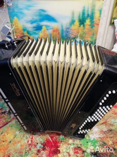 Ученический баян Тула 210