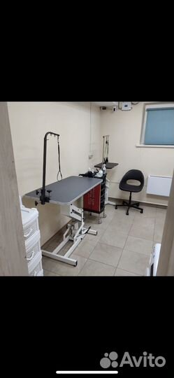 Груминг салон