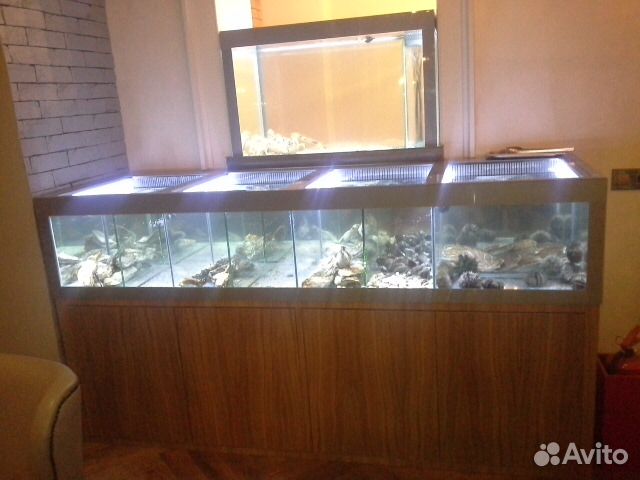 Аквариум для устриц и живых морепродуктов