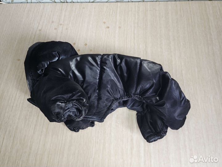 Одежда для собак мелких пород