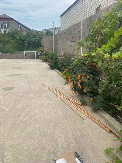 Участок 3 сот. (ИЖС)