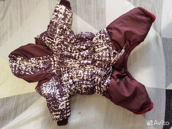 Осенняя куртка для собак мелкий пород