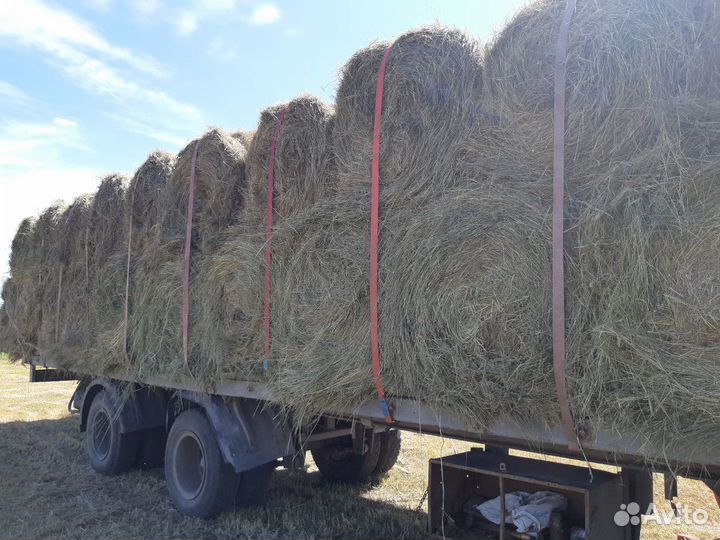 Сено в рулонах 2023г