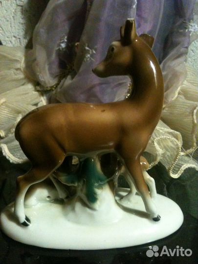 Олениха с оленятами Германия