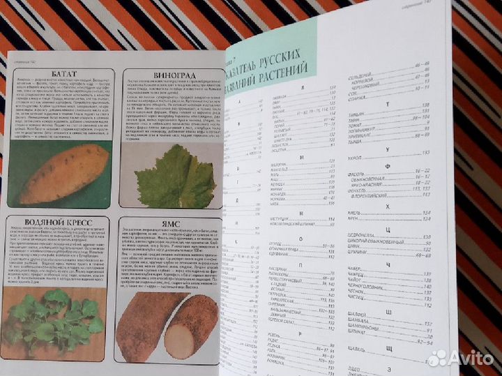 Д-р Д.Г.Хессайон. Все об овощах. Все о розах