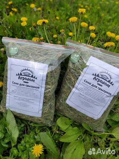 Сено для грызунов