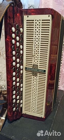 Баян Молодечно 2