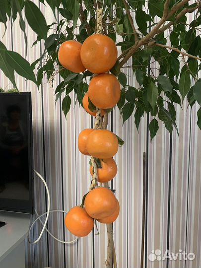 Декоративные фрукты/овощи в ассортименте