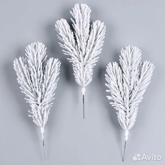 За неденные веточки хвои