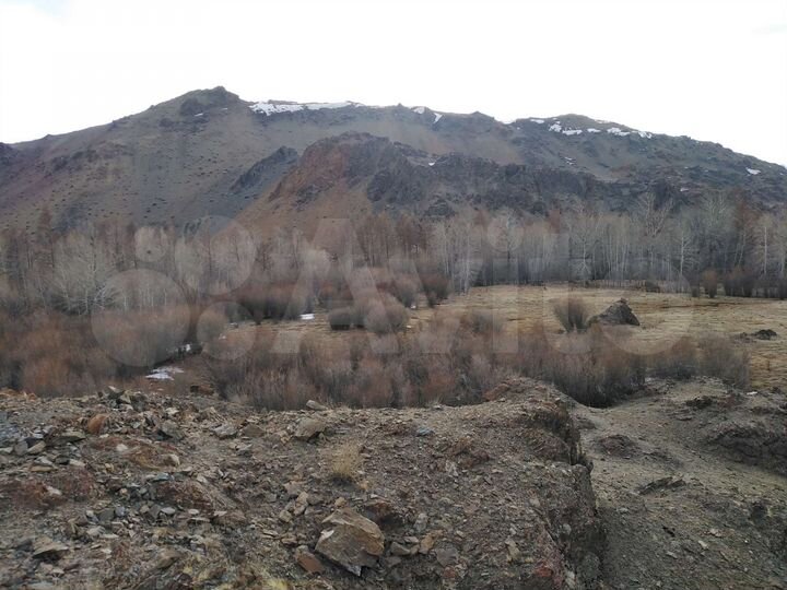 Участок 2,3 га (СНТ, ДНП)