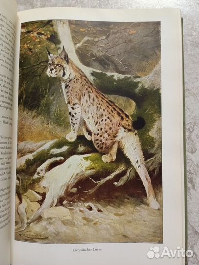 Жизнь животных 4 тома одним лотом