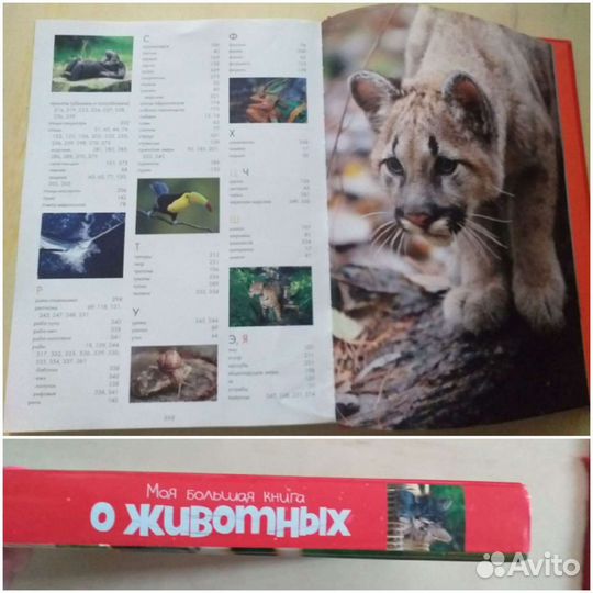 Энциклопеции о животных
