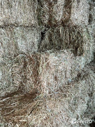 Сено луговое разнотравье в кипах, рязанское