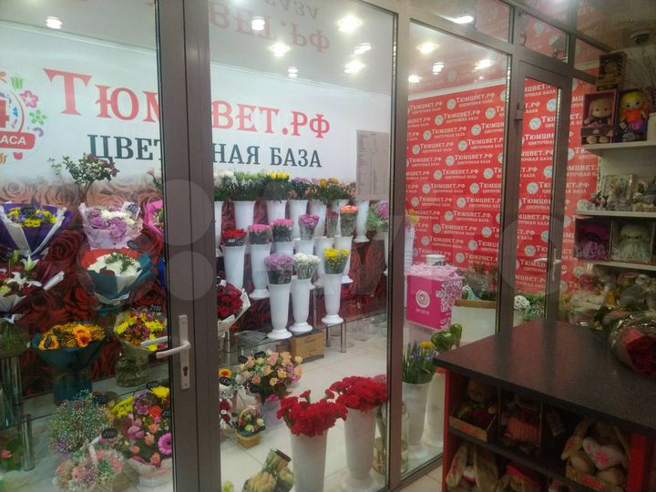 Первая линия,центр, 30 м²