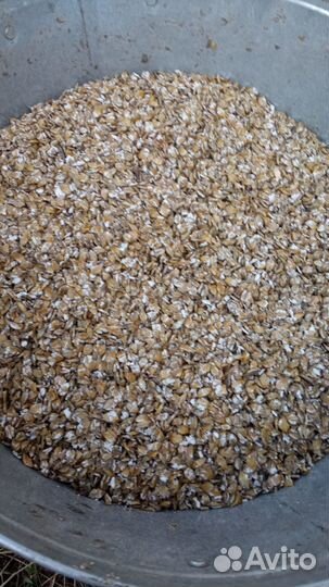 Зерно плющенное