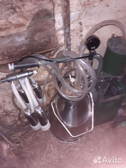 Доильный аппарат для коров