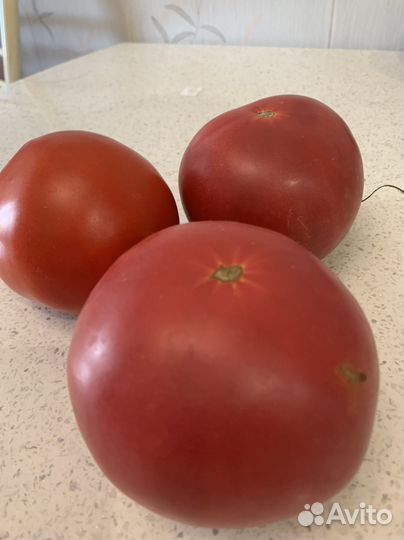 Помидоры свои крупные деревенские. Мед