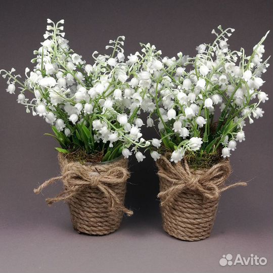 Ландыши 2 горшочка, в подарок Статуэтка Ангела