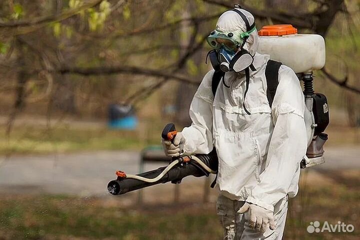 Обработка от насекомых тараканов клопов