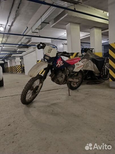 Honda xr250