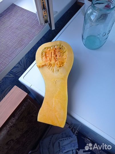 Тыква мускатная сладкая (гитара)витаминная