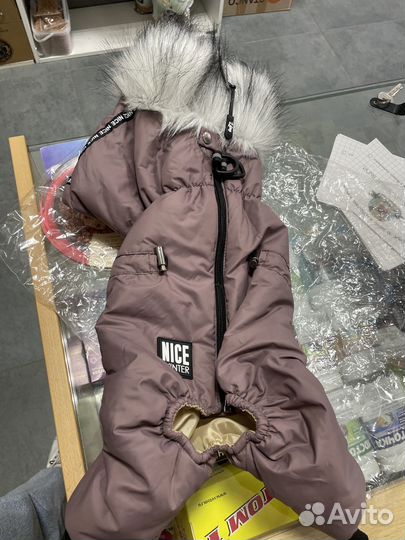 Одежда для крупных собак корги такса мопс